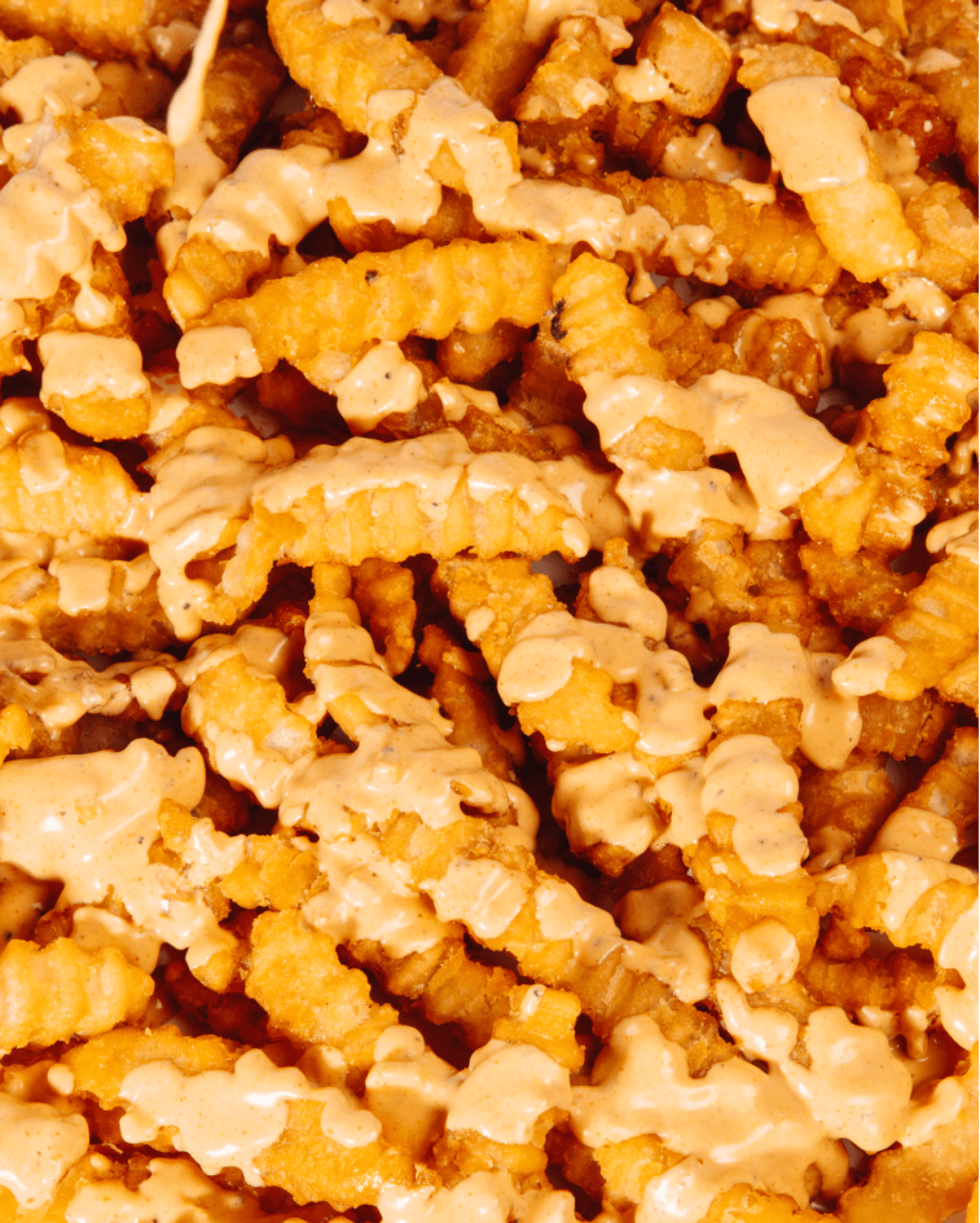 Fries close up